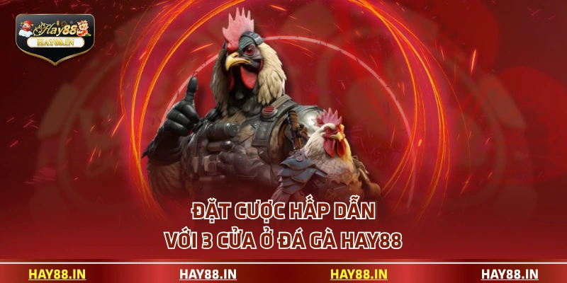 Đặt cược hấp dẫn với 3 cửa ở đá gà HAY88