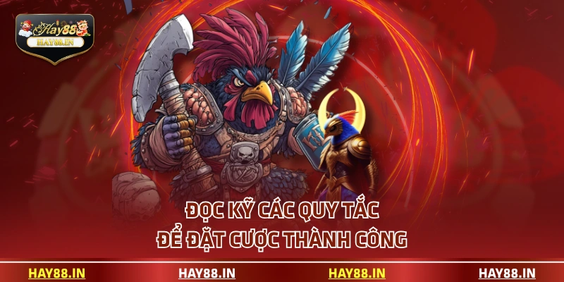 Đọc kỹ các quy tắc để đặt cược thành công
