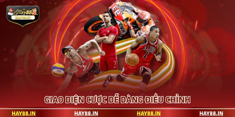 Giao diện cược dễ dàng điều chỉnh