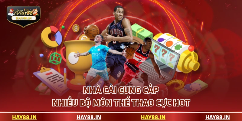 Nhà cái cung cấp nhiều bộ môn thể thao cực HOT