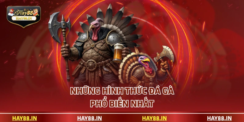 Những hình thức đá gà phổ biến nhất