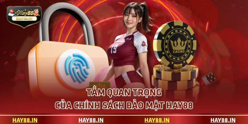 Tầm quan trọng của chính sách bảo mật HAY88