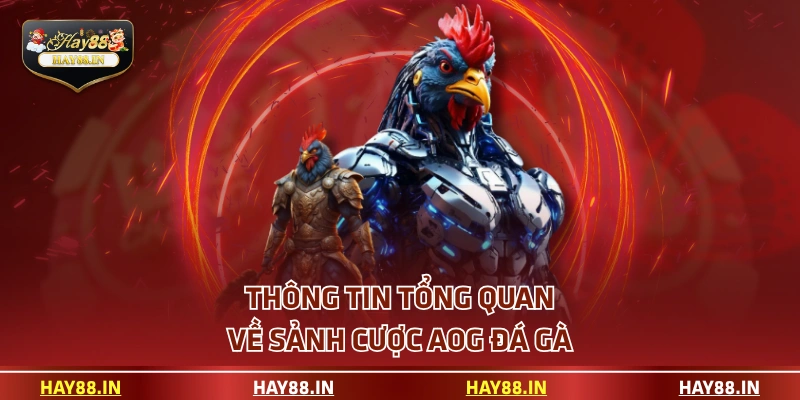 Thông tin tổng quan về sảnh cược AOG đá gà