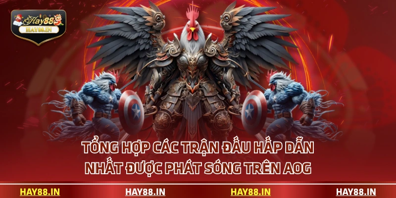 Tổng hợp các trận đấu hấp dẫn nhất được phát sóng trên AOG