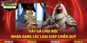 vảy gà chọi độc